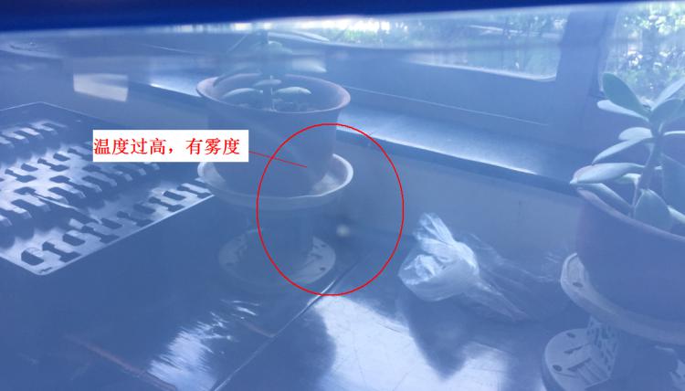 注塑製品質量缺陷分析（六）造成製品表麵有霧度的主要原因是什麽？